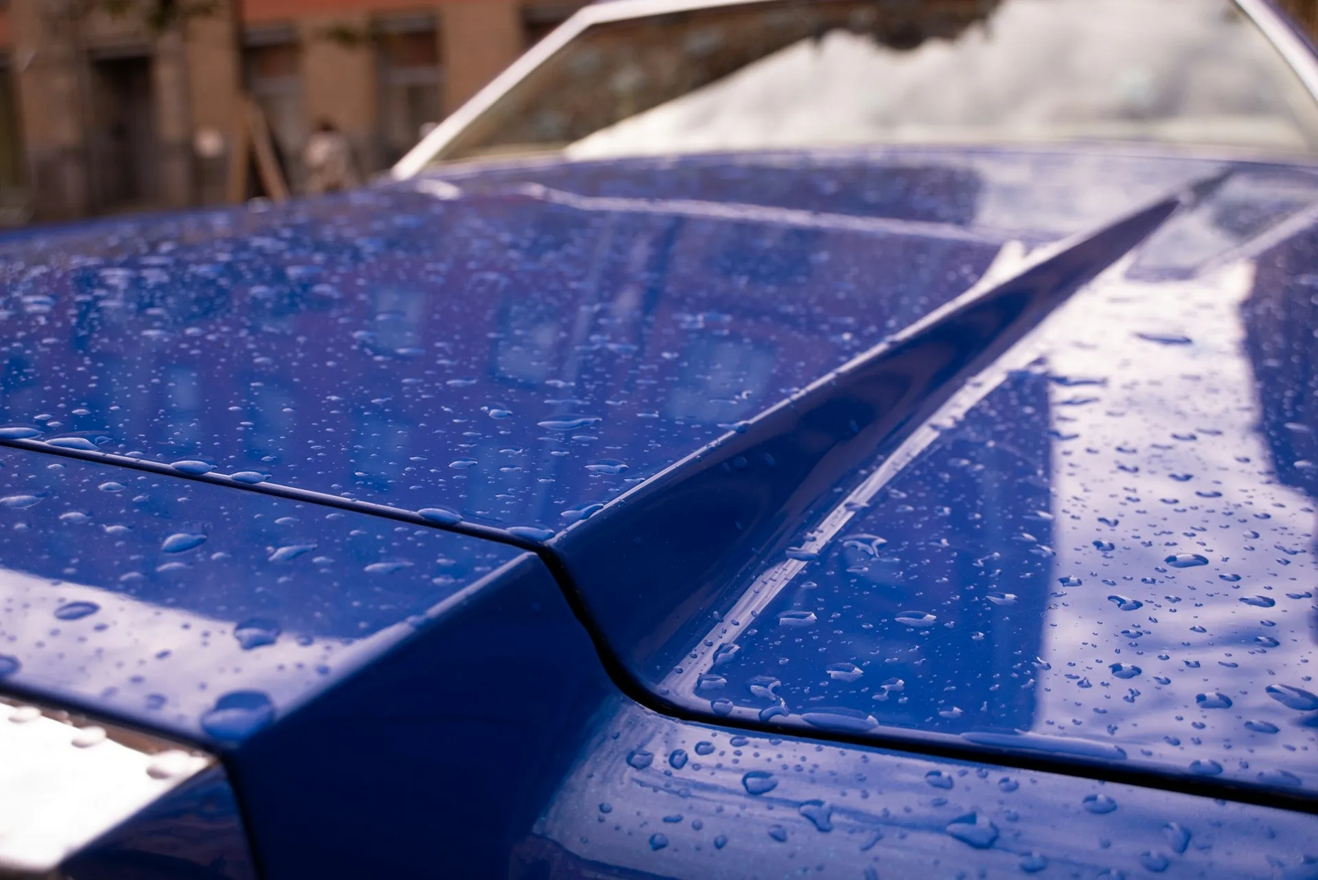 Water beading on a freshly ceramic-coated blue car hood